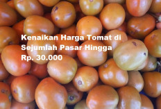 Memasuki Bulan Ramadhan, Harga Tomat di Berbagai Daerah Naik Hingga 100 Persen, Begini Menurut Dinas UKM...