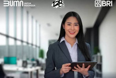 Loker Jakarta! Bank BRI Buka Lowongan Kerja Untuk Lulusan S1, Segera Daftar Sebelum Tanggal Ini...
