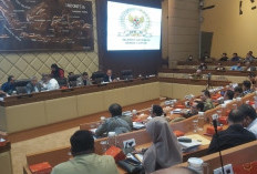 Resmi, DPR Setujui Revisi PKPU tentang Pencalonan Kepala Daerah di Pilkada 2024, Mengacu Putusan MK atau MA?