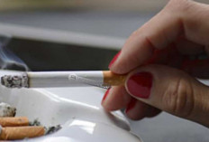 Merokok dan Paradoks Kesehatan:  5 Manfaat Menyeluruh yang Jarang Diketahui