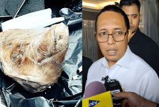 Nggak Ngotak! Hasan Nasbi Malah Suruh Masak Saja Kepala Babi Kiriman Teror di Tempo, Ini Alasannya!