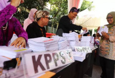 Cihuy, Honor Petugas KPPS Resmi Naik di Pemilu 2024, Simak Disini Masa Kerja dan Besaran Gaji