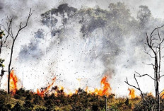 3 Perusahaan HTI Akan Menjalani Sidang Akibat Gugatan Kebakaran Hutan Sumsel