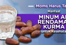 Air Rendaman Kurma! Minuman Alami dengan Nilai Gizi Tinggi dan Banyak Manfaat
