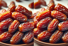 Ternyata Begini! Ini 4 Kurma Termahal di Dunia, Mulai dari Buah Surga hingga Raja Kurma
