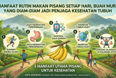 5 Manfaat Rutin Makan Pisang Setiap Hari, Buah Murah yang Diam-Diam Jadi Penjaga Kesehatan Tubuh