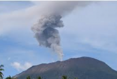 PVMBG: Informasi Terupdate Gunung Ibu Kembali Erupsi, Kolom Abu Setinggi 1.000 Meter Membumbung di Atas Pucak