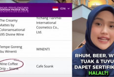 Gempar! Sertifikat Halal untuk Tuak, Beer, Tuyul dan Wine Muncul Lagi, MUI Tegaskan: Ini Pelanggaran Fatwa!