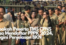 Peserta TMS CPNS Tidak Bisa Daftar PPPK 2024? Ini Penjelasan BKN!