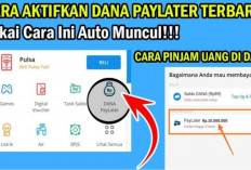 Butuh DANA Cepat? Aktifin Paylater Kamu Sekarang, Dijamin Langsung ACC Bro! 