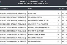 2 Cara Parktis dan Efektif untuk Mengecek Skor SKD CPNS 2024, Pelamar Harus Tau!