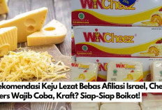 5 Rekomendasi Keju Lezat Bebas Afiliasi Israel, Cheesy Lovers Wajib Coba, Kraft? Siap-Siap Boikot!