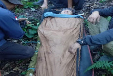 Pendaki Dempo Asal Palembang Hilang Semalam, Ditemukan Selamat di Tengah Hutan