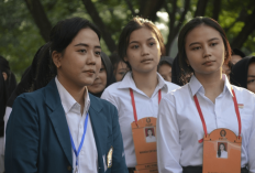 55 Jurusan SNBP Universitas Diponegoro Beserta Daya Tampungnya, Pilih yang Paling Cocok Buat Kamu!