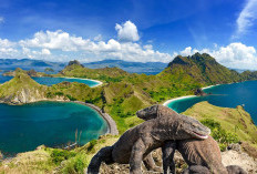 Jangan Kaget, Tarif Masuk Taman Nasional Komodo Resmi Naik, Berlaku Mulai 30 Oktober, Ini Rinciannya!