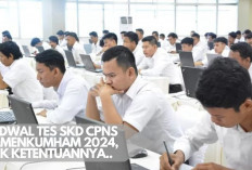 Jadwal SKD CPNS Kemenkumham 2024 Sudah Keluar! Buruan Cek Ketentuan Lengkapnya di Sini