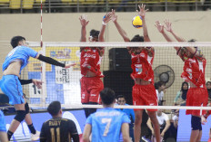 Final Four Proliga 2025: Sadis! Bank SumselBabel Ngamuk di Semarang, Sikat Surabaya Samator 3-1 