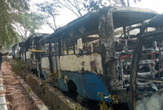 Puluhan Bus Rongsokan Hangus Terbakar, Diduga Api Akibat Kelalaian