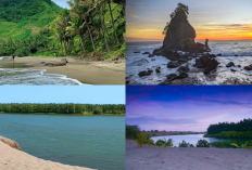 Liburan ke Kebumen? Ini 4 Pantai Hits dan Instagramable yang Bikin Kamu Nggak Mau Pulang!