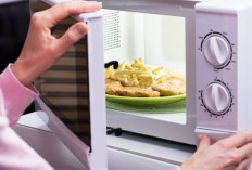 4 Resiko Memanaskan Makanan di Microwave, Mulai Risiko Infeksi Bakteri hingga Kehilangan Nutrisi!
