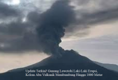 Update Terkini! Gunung Lewotobi Laki-Laki Erupsi, Kolom Abu Vulkanik Membumbung Hingga 1000 Meter