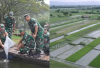TNI Manunggal, Strategi TNI AD dalam Mendukung Ketahanan Pangan Nasional