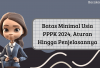 Pelamar PPPK 2024 Harus Tau Ini! Inilah Batas Minimal Usia, Aturan Hingga Penjelasannya