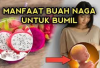 5 Manfaat Buah Naga Bagi Ibu Hamil, Tips Sehat Bagi Pertumbuhan Janin, Yuk Moms Cobain...