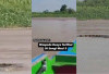 Heboh! Penampakan Buaya Besar di Sungai Musi Palembang Terekam Kamera, Begini Kata Camat Gandus 