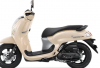 Honda Scoopy 2026 Tampilan Manis & Kerennya Bikin Gagal Move On!