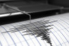 Gempa Magnitudo 5,3 Guncang Papua Pagi Ini, Potensi Tsunami? Simak Peringatan BMKG!