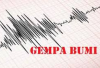 Update! Wilayah Pernang Sumbawa Diguncang Gempa Bumi Berkekuatan Magnitudo 3.8, BMKG: Waspada Bencana Susulan