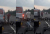 Viral! Driver Todongkan Pistol ke Pengendara Lain di Tol Cipularang, Lalamove Sudah Blokir Akun Supir Jagoan!