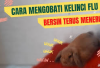 Info Rabbit! 5 Cara Mengobati Kelinci Bersin Terus Menerus, Berikut Tips yang Bisa Bunny Lovers Lakukan