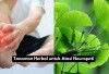 6 Tanaman Herbal Ampuh untuk Atasi Neuropati, Salah Satunya Ginkgo Biloba!