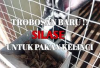 Info Rabbit, Resep Racikan Silase untuk Pakan Kelinci, Inovasi Menekan Biaya Ternak! Auto Cuan Gede, Kuy Coba 