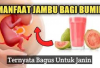 6 Manfaat Jambu Biji Bagi Ibu Hamil dan Janin yang Jarang Diketahui, Salah Satunya Kaya Akan Asam Folat Lho...