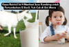 Kaya Nutrisi! Ini 4 Manfaat Susu Kambing untuk  Pertumbuhan Si Kecil, Yuk Cek di Sini Moms 