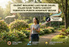 Silent Walking Lagi Naik Daun, Jalan Kaki Tanpa Gadget Ternyata Punya Manfaat Besar
