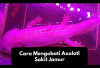 Owner Wajib Tau, 6 Cara Mengobati Salamander Axolotl Sakit Jamur Paling Ampuh Jamin 100 Persen Sembuh!