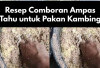 Resep Comboran Ampas Tahu untuk Pakan Kambing, Mudah dan Lezat Bikin Ternak Auto Lahap, Kuy Coba!