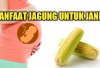 7 Manfaat Jagung untuk Ibu Hamil yang Jarang Diketahui, Yuk Bun Perbanyak Konsumsi dan Rasakan Khasiatnya...