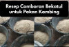 Super! Ini Resep Comboran Bekatul untuk Pakan Kambing, Jamin Bikin Cepat Gemuk dan Sehat, Cekidot