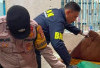 Polisi, TNI, BNN Geledah LP Muara Enim dan Tes Urine Mendadak, Ada Apa ?