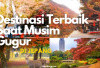 Yuhu! 5 Destinasi Jepang Terbaik Saat Musim Gugur, Nikmati Indahnya Pemandangan Bersama Orang Tersayang...