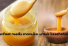 6 Manfaat Madu Manuka buat Kesehatan yang Bikin Penasaran, Yuk Cek di Sini!