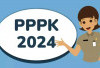 4 Langkah Cek NIK Untuk Ikut Seleksi PPPK 2024 Gelombang 1, Pastikan Namamu Terdaftar!