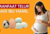 5 Manfaat Telur Bagi Ibu Hamil yang Jarang di Ketahui, Tips Sehat Bagi Bumil, Cekidot!