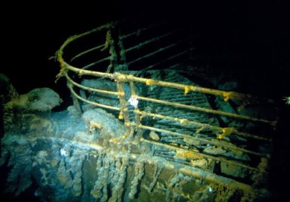 Osedax : Cacing Pemakan Tulang Penghuni Bangkai Kapal Titanic Paling Menakutkan