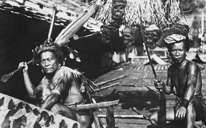 Suku Dayak ‘Pengkoleksi Kepala Manusia’ Tradisi Ngayau Memenggal Kepala Manusia, Hati-hati Jika Di